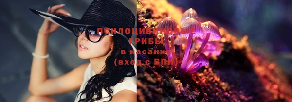 кокаин колумбия Белокуриха