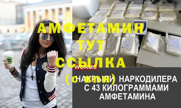 амф Богданович