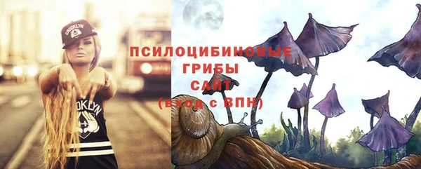 амф Богданович