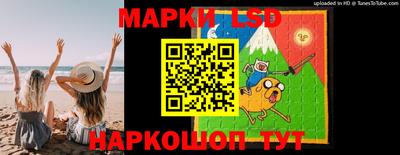ГАЛЛЮЦИНОГЕННЫЕ ГРИБЫ Кингисепп