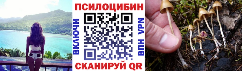 Псилоцибиновые грибы Psilocybine cubensis  Гай 